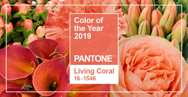 Pantone 2019ɫɺůĹռ